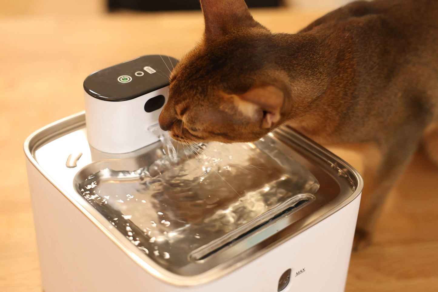 Stainless Steel Cat Water Fountain